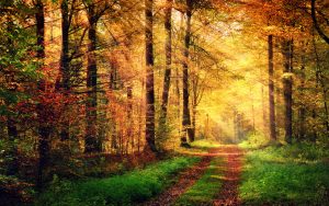 Wege aus der Angst
