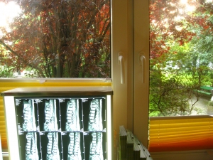 Diagnose Neurologicum Bremen
